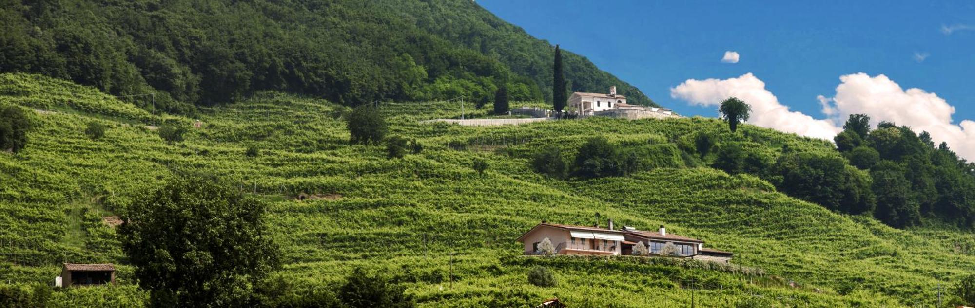 B&B Casa Bortolin Valdobbiadene Exterior foto